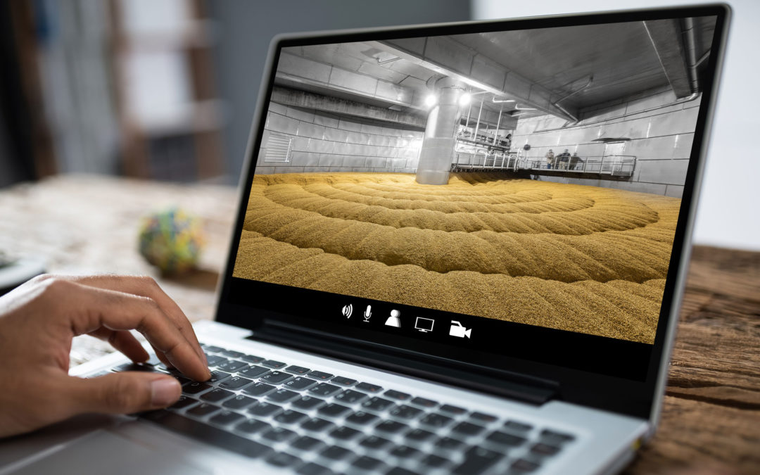 Live und virtuell: Rundgang durch Mälzerei und Mühlenlabor